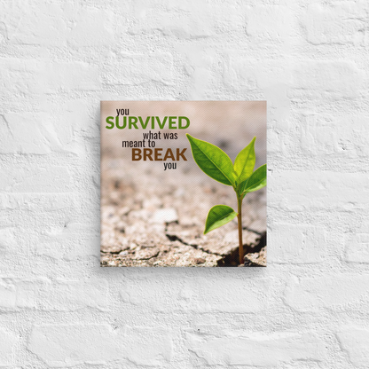 You Survived What Was Meant To Break You