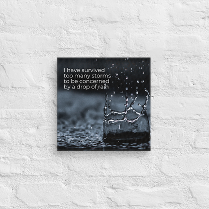 I Have Survived Too Many Storms To Be Concerned By A Drop Of Rain