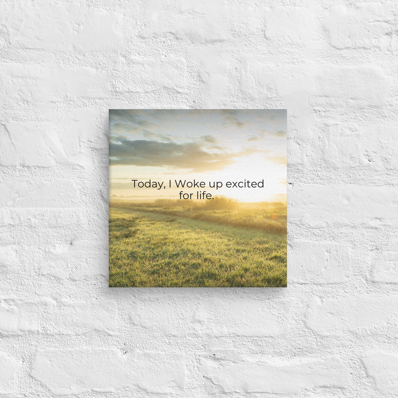 Today, I Woke Up Excited For Life.