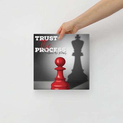 Trust The Process Embrace The Journey