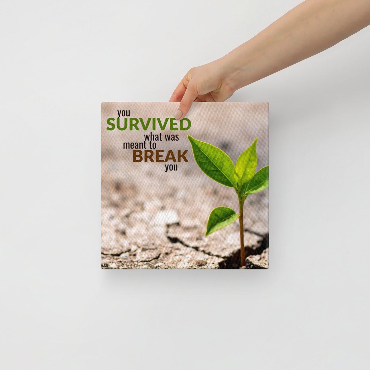 You Survived What Was Meant To Break You