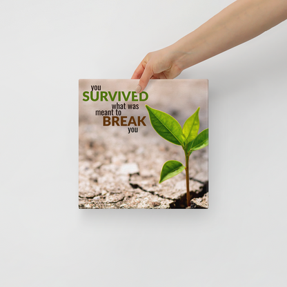 You Survived What Was Meant To Break You