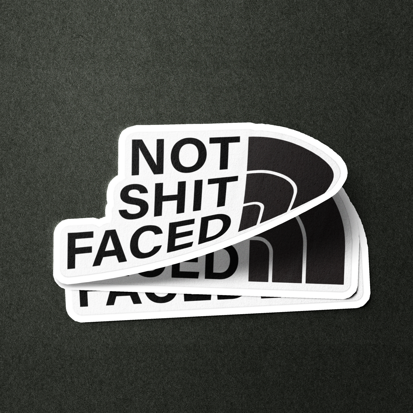 Not Shit Faced Sober Lifestyle