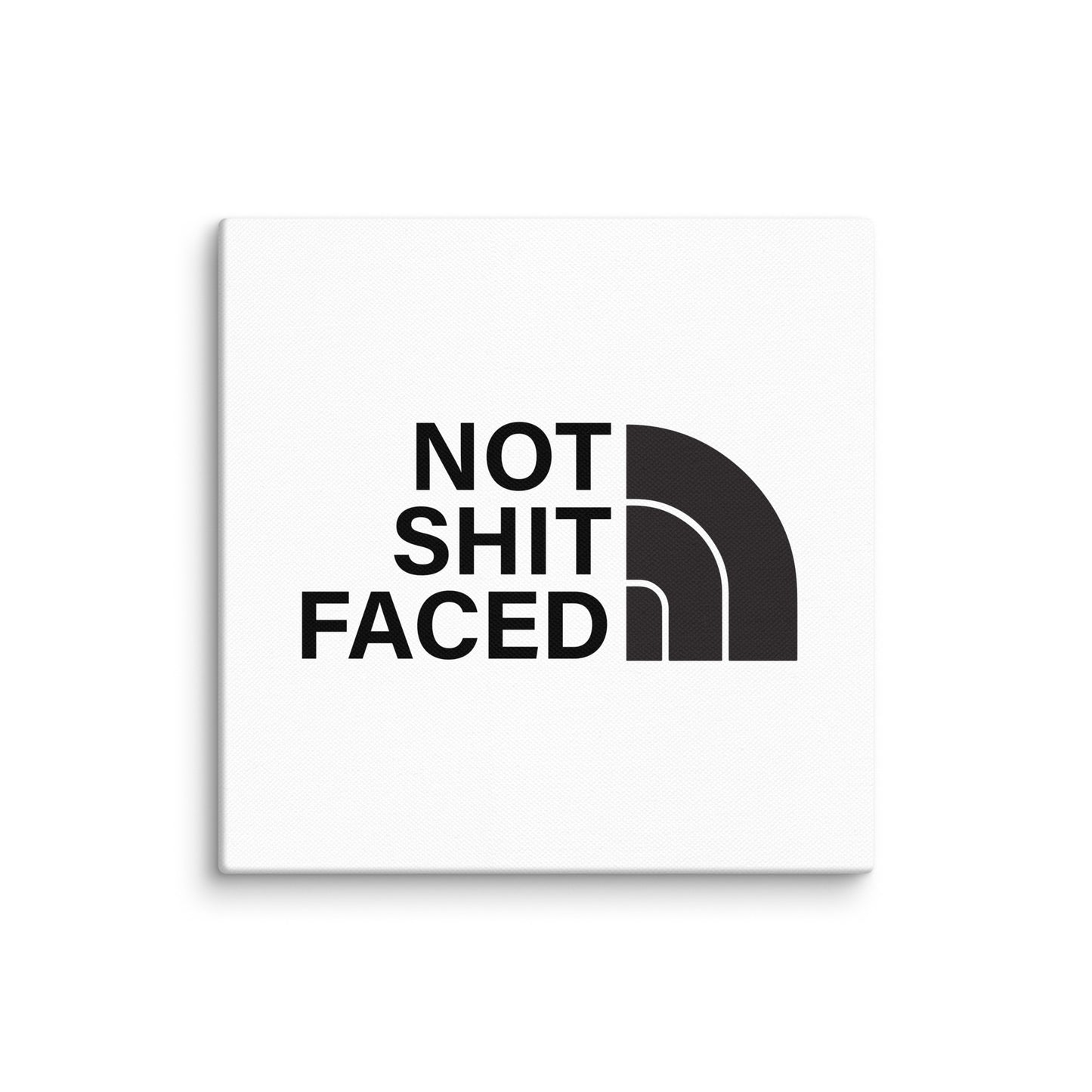 Not Shit Faced Sober Lifestyle