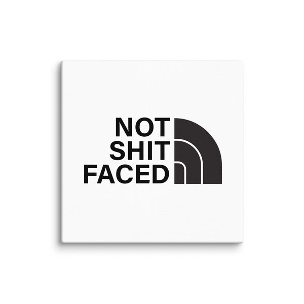 Not Shit Faced Sober Lifestyle